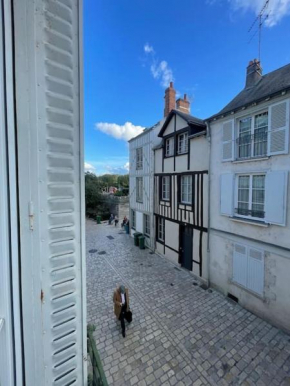 Appartement ancien à Orléans